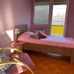 Amazing Penthouse Old Town * Sarajewo