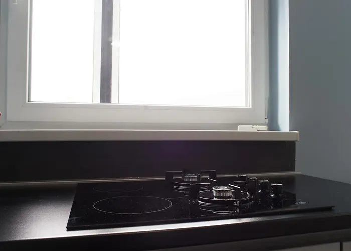 Amazing Penthouse Old Town شقة *